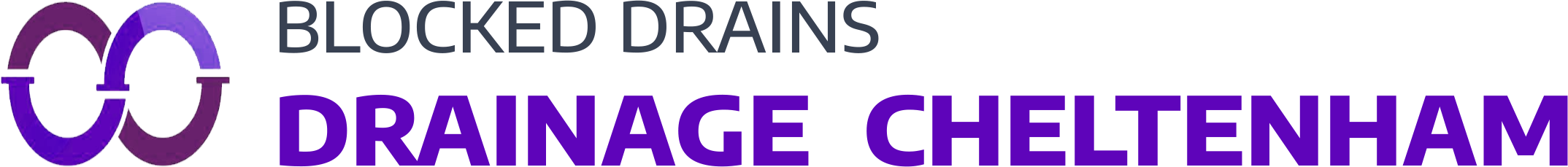 website logo